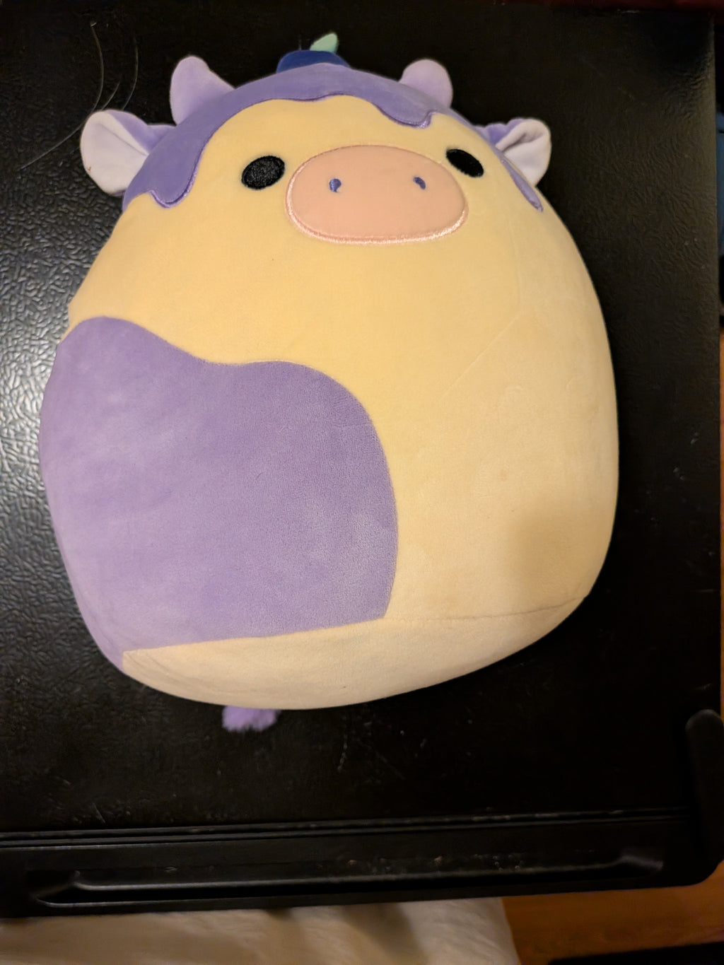 Large Plush (pick 1)