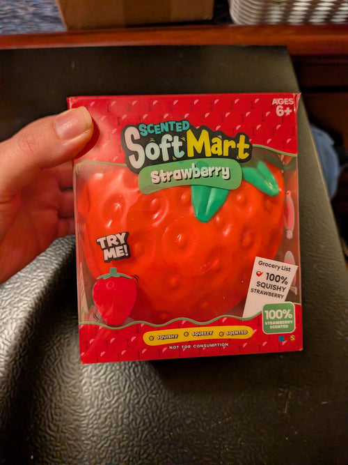 Jumbo Squishy (pick 1)